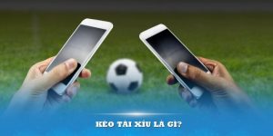 Kèo Tài Xỉu Là Gì? Cách Chơi Đơn Giản Bậc Nhất 2024 11 Kèo Tài Xỉu Là Gì? Cách Chơi Đơn Giản Bậc Nhất 2024